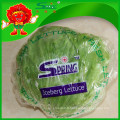 NOUVEAU 2015 Yunnan organic iceberg lettuce